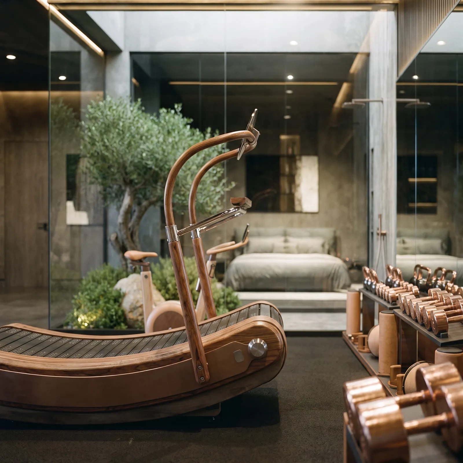A timber rowing machine in the Villa’s gym, an olive tree behind the glass